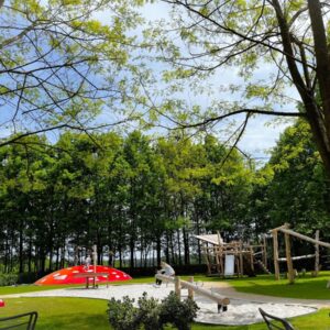 Speeltuin van Camping de Zwammenberg