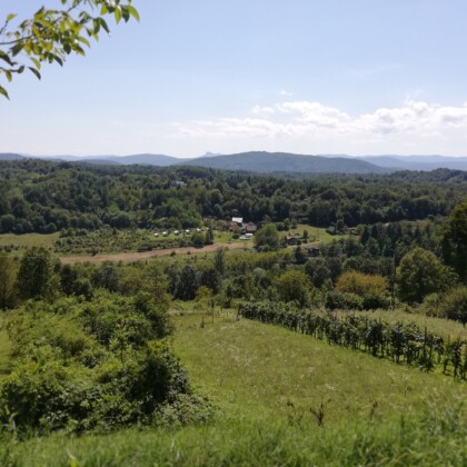 Camping Kroatië. Uitzicht over een groen landschap met bebossing en een blauwe lucht.