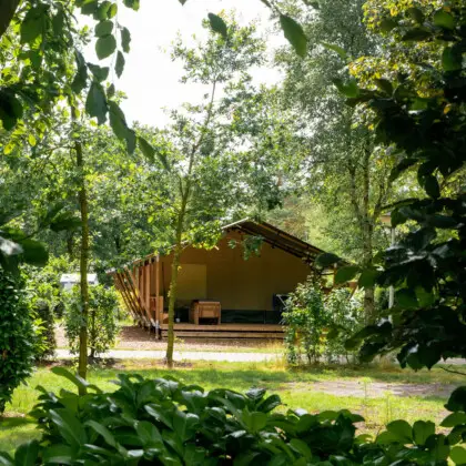 Safaritent op een Nederlandse camping de Zeven Heuveltjes