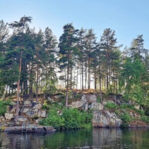 Uitzicht op een rotswand met bomen bij Småland Miniglamping.